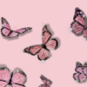 Meet your Posher, Alaina